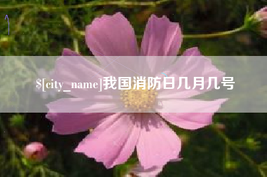 陆丰我国消防日几月几号