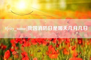 陆丰我国消防日是哪天几月几日