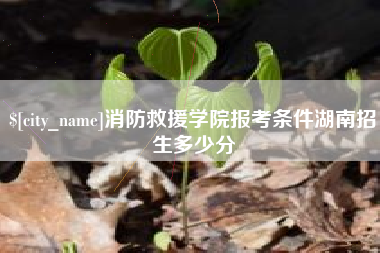 陆丰消防救援学院报考条件湖南招生多少分