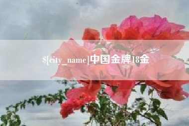 陆丰中国金牌18金
