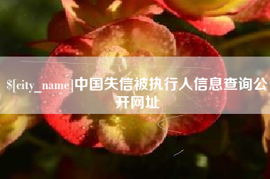 陆丰中国失信被执行人信息查询公开网址