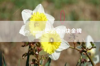 陆丰奥运会39块金牌