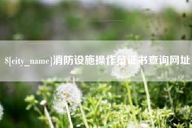 陆丰消防设施操作员证书查询网址