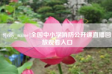 陆丰全国中小学消防公开课直播回放观看入口