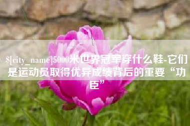 陆丰5000米世界冠军穿什么鞋-它们是运动员取得优异成绩背后的重要“功臣”