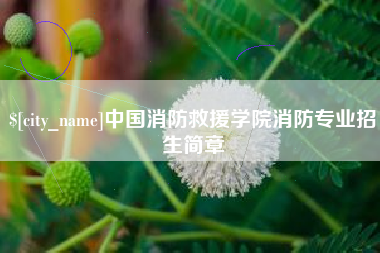 陆丰中国消防救援学院消防专业招生简章