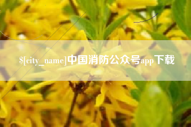 陆丰中国消防公众号app下载