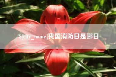 陆丰我国消防日是哪日