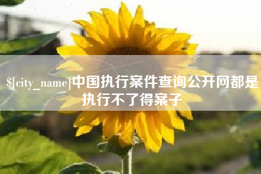 陆丰中国执行案件查询公开网都是执行不了得案子