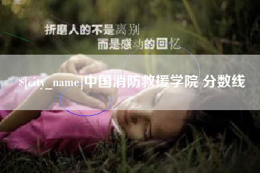 陆丰中国消防救援学院 分数线