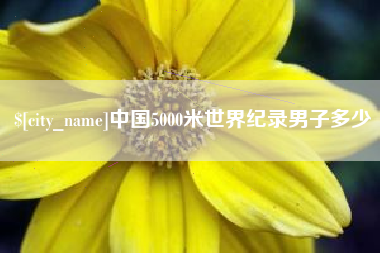 陆丰中国5000米世界纪录男子多少