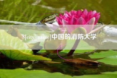 陆丰中国的消防大学