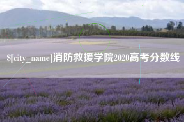 陆丰消防救援学院2020高考分数线