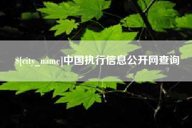 陆丰中国执行信息公开网查询