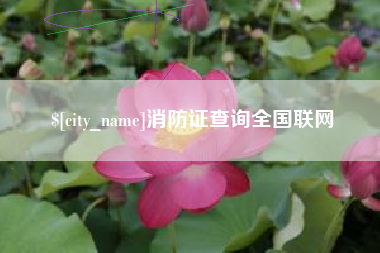 陆丰消防证查询全国联网