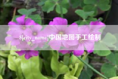 陆丰中国地图手工绘制