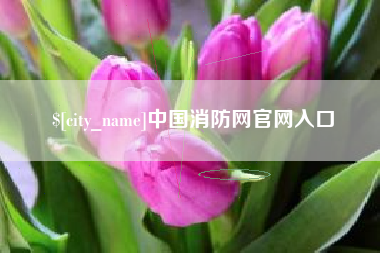 陆丰中国消防网官网入口