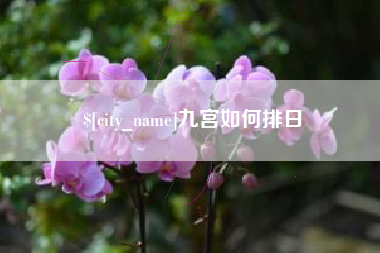 陆丰九宫如何排日
