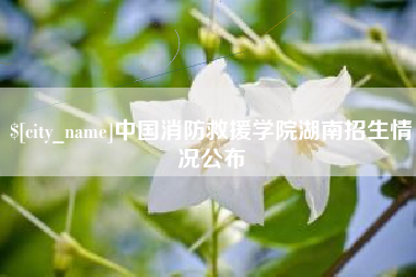 陆丰中国消防救援学院湖南招生情况公布