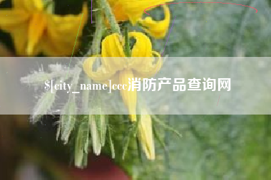 陆丰ccc消防产品查询网