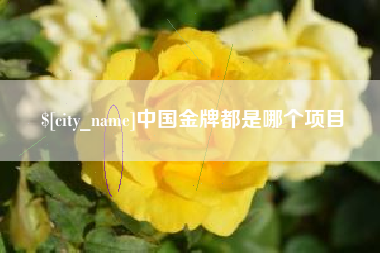 陆丰中国金牌都是哪个项目