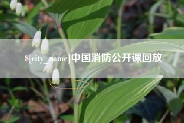 陆丰中国消防公开课回放