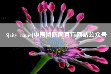 陆丰中国消防网官方网站公众号