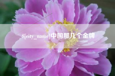 陆丰中国那几个金牌