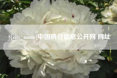 陆丰中国执行信息公开网 网址
