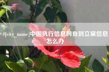 陆丰中国执行信息网查到立案信息怎么办