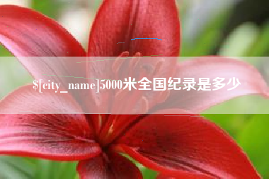 陆丰5000米全国纪录是多少