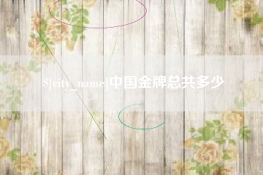 陆丰中国金牌总共多少