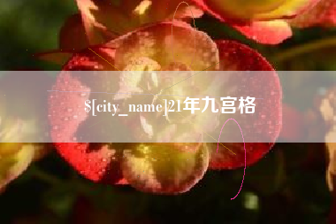 陆丰21年九宫格