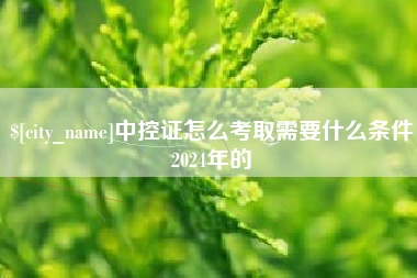陆丰中控证怎么考取需要什么条件2024年的