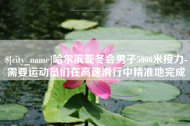 陆丰哈尔滨亚冬会男子5000米接力-需要运动员们在高速滑行中精准地完成