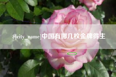 陆丰中国有哪几枚金牌得主