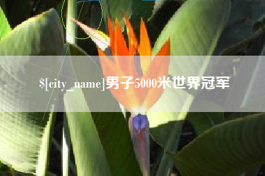 陆丰男子5000米世界冠军