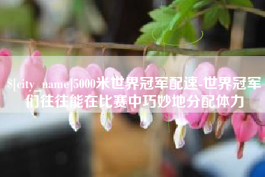 陆丰5000米世界冠军配速-世界冠军们往往能在比赛中巧妙地分配体力