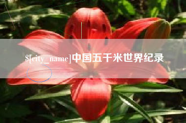 陆丰中国五千米世界纪录