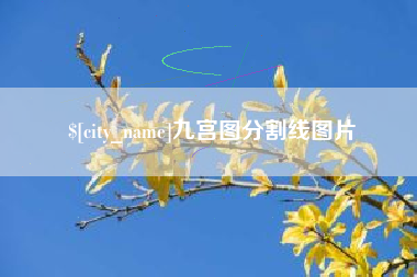 陆丰九宫图分割线图片