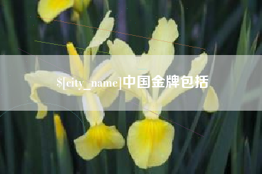 陆丰中国金牌包括