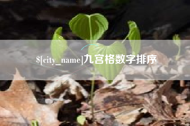 陆丰九宫格数字排序