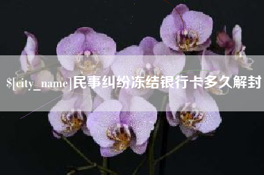 陆丰民事纠纷冻结银行卡多久解封