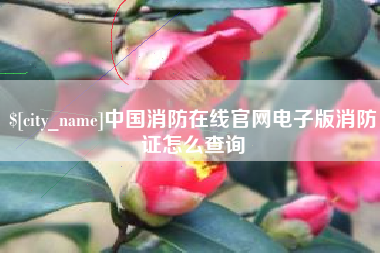 陆丰中国消防在线官网电子版消防证怎么查询