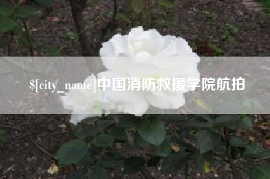 陆丰中国消防救援学院航拍