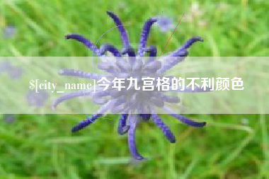 陆丰今年九宫格的不利颜色