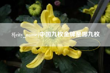 陆丰中国九枚金牌是哪九枚