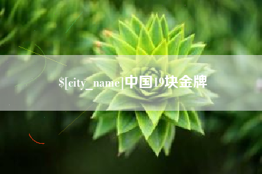 陆丰中国19块金牌
