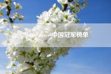 陆丰中国冠军榜单