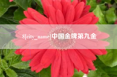 陆丰中国金牌第九金